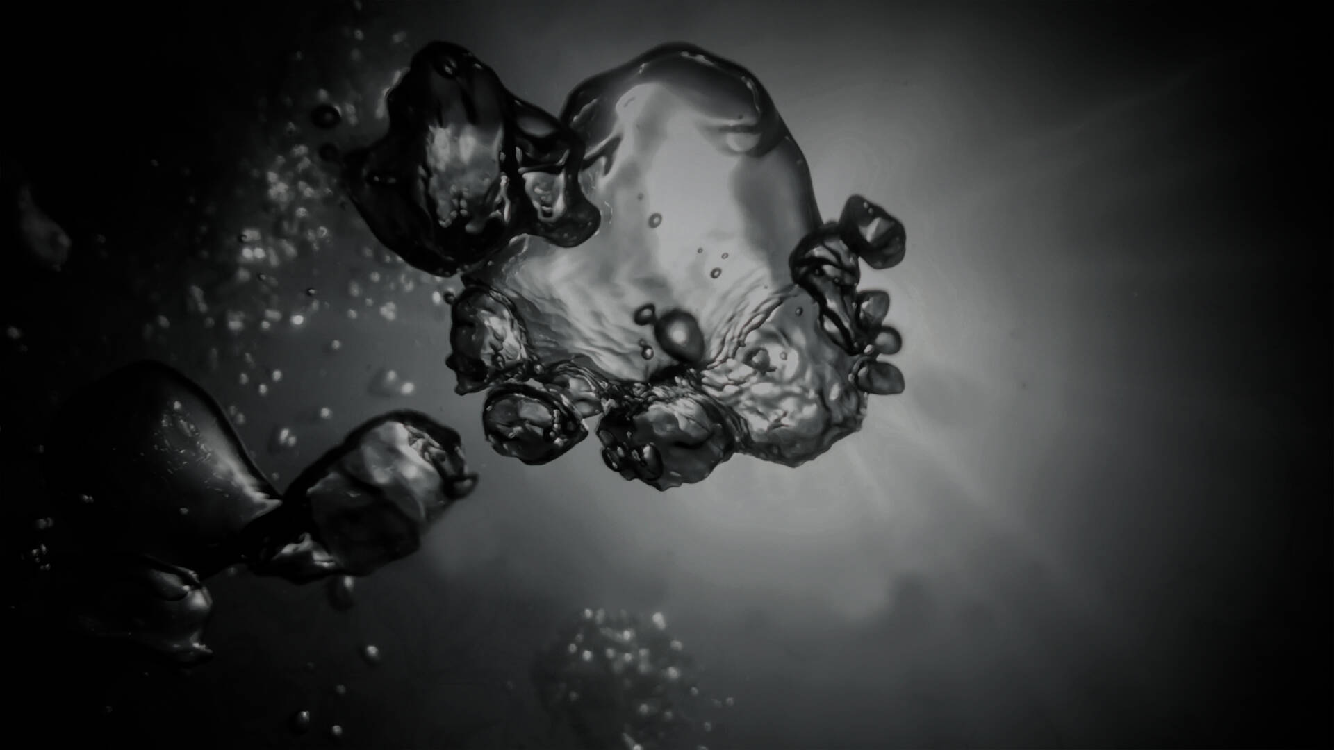 Discover the 2022 design highlights at the Aqua Days.