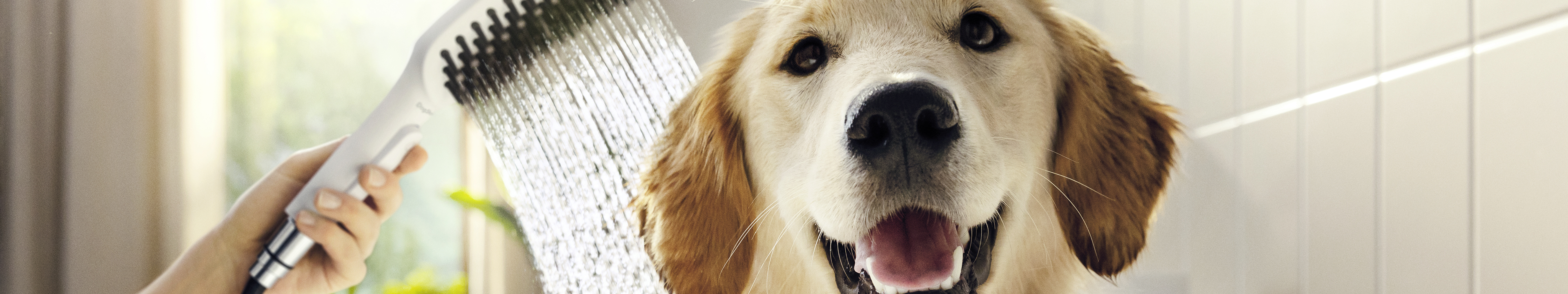 Hund nyder vasken med hansgrohe DogShower.