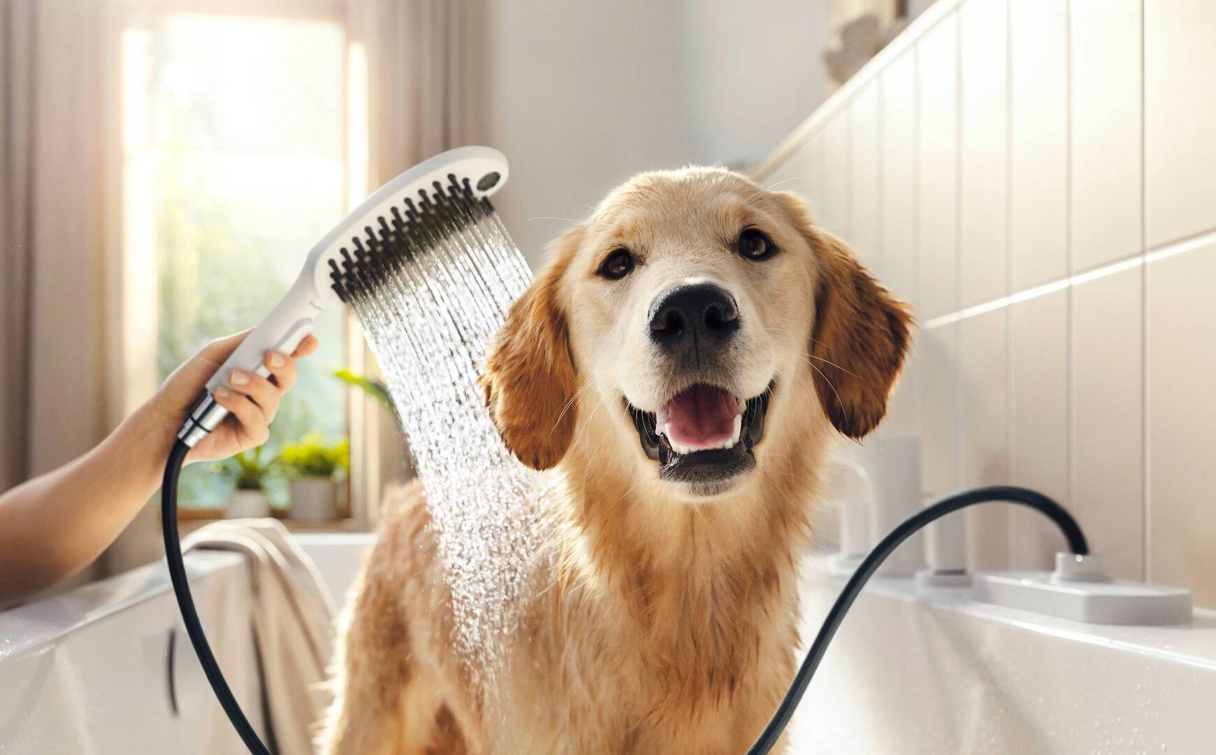 Taps & mixers for bathrooms, showers and kitchens hansgrohe AU