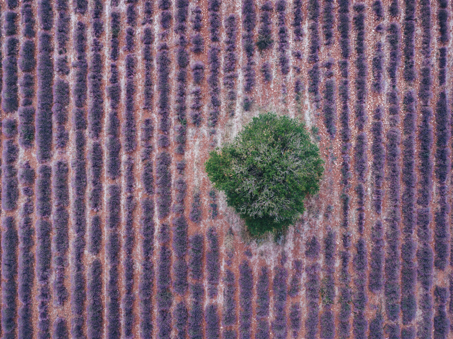 Luchtfoto van de Provence.