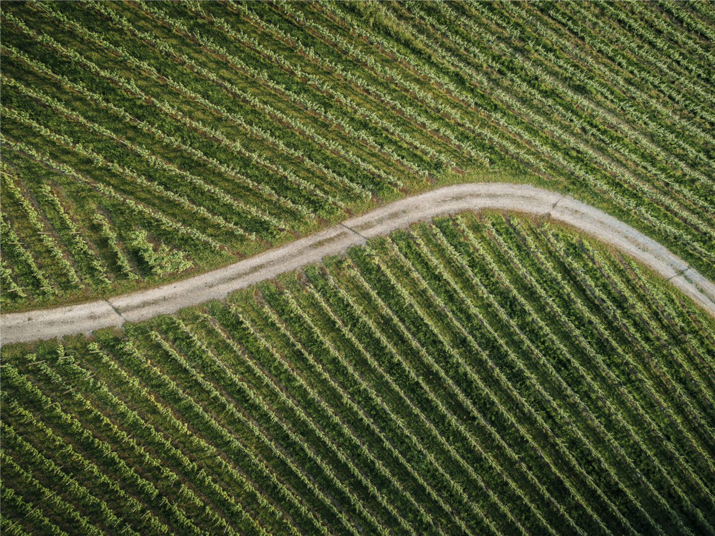 Luftaufnahme des mittelalterlichen Orts Marostica