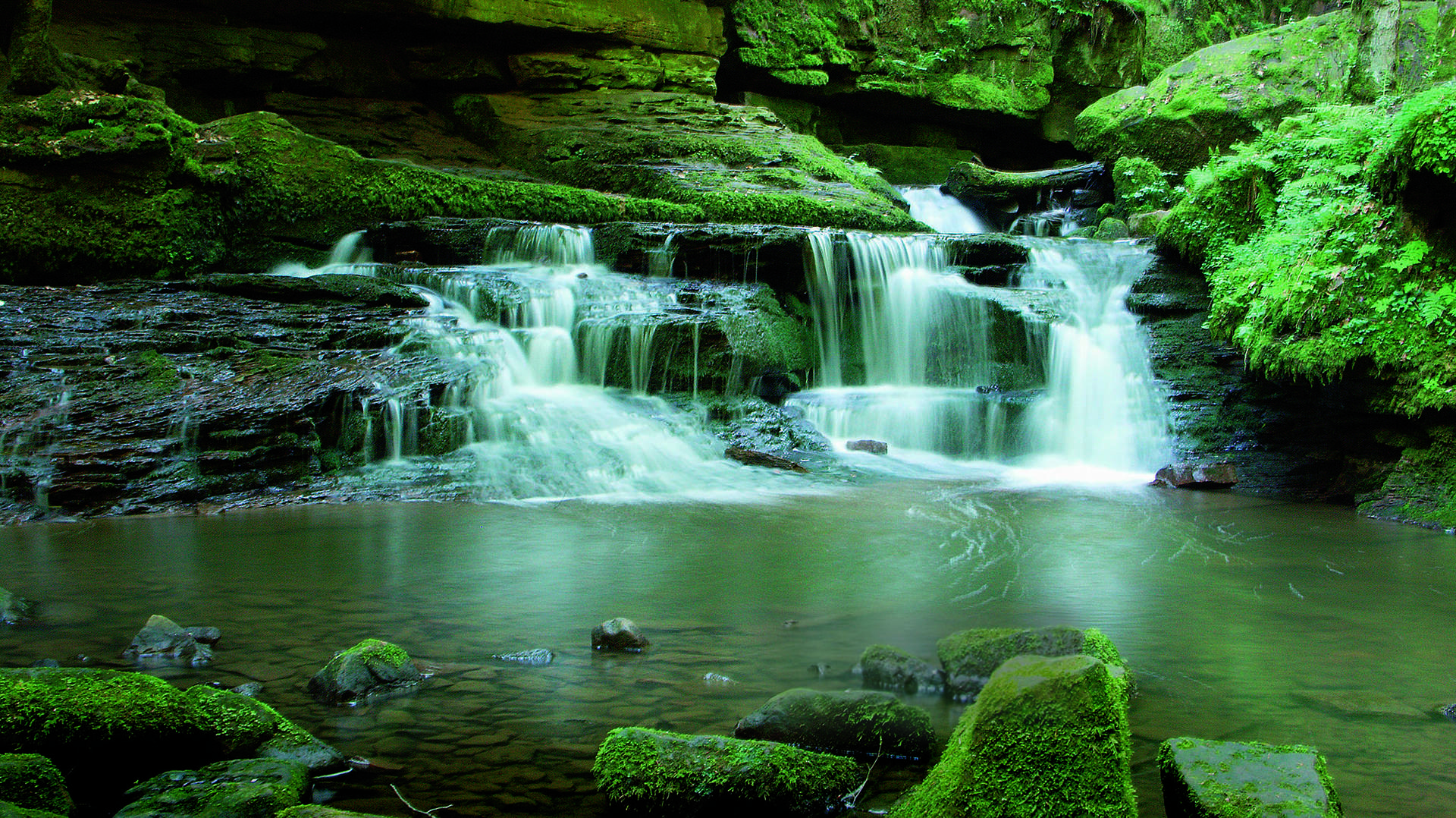 Prodotti EcoSmart di hansgrohe per accedere agli incentivi del Governo