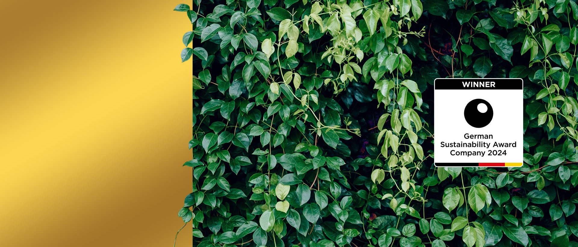 Hansgrohe wins German Sustainability Award 2024.