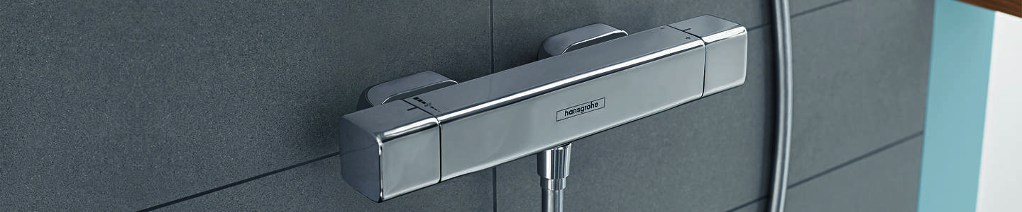 Hansgrohe Ecostat Komfortables Brausethermostat