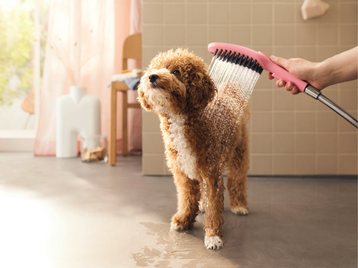 Dog shower outlet wand