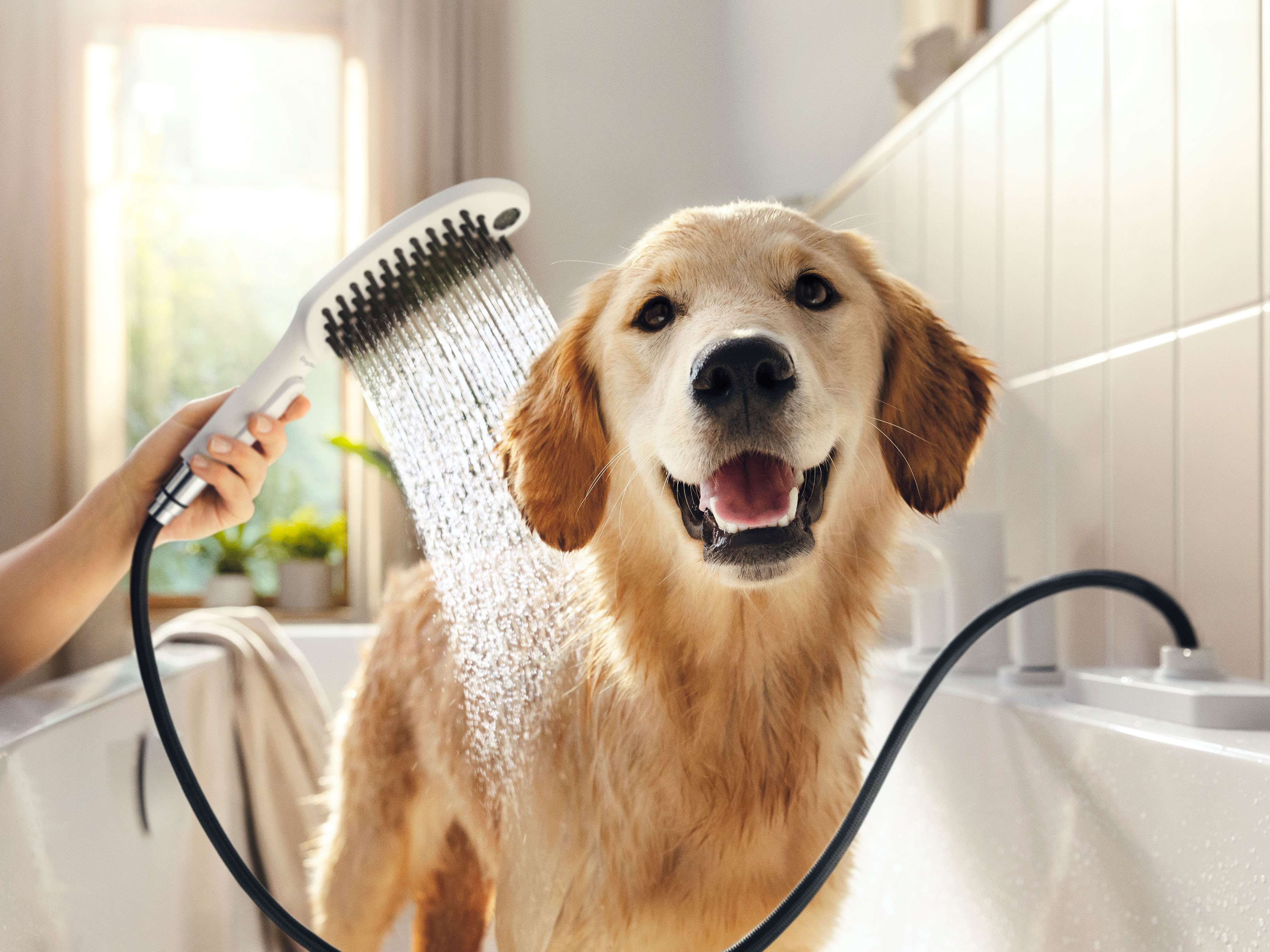 Pet shower deals