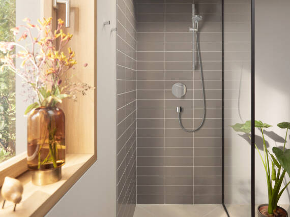 Fleurs et plantes, carrelage gris et fenêtre en bois