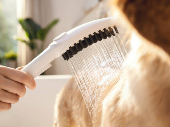 Hundebrause mit weichem Wasserstrahl