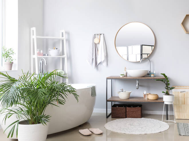 Plants in the bathroom: our top 10