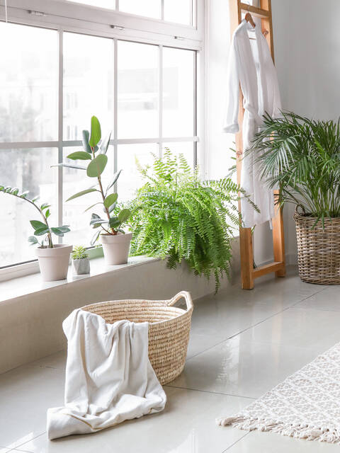 Weißes Bad mit Holzelementen und verschiedenen Grünpflanzen.