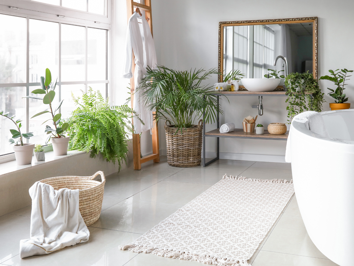 Plants in the bathroom: our top 10 | hansgrohe UK