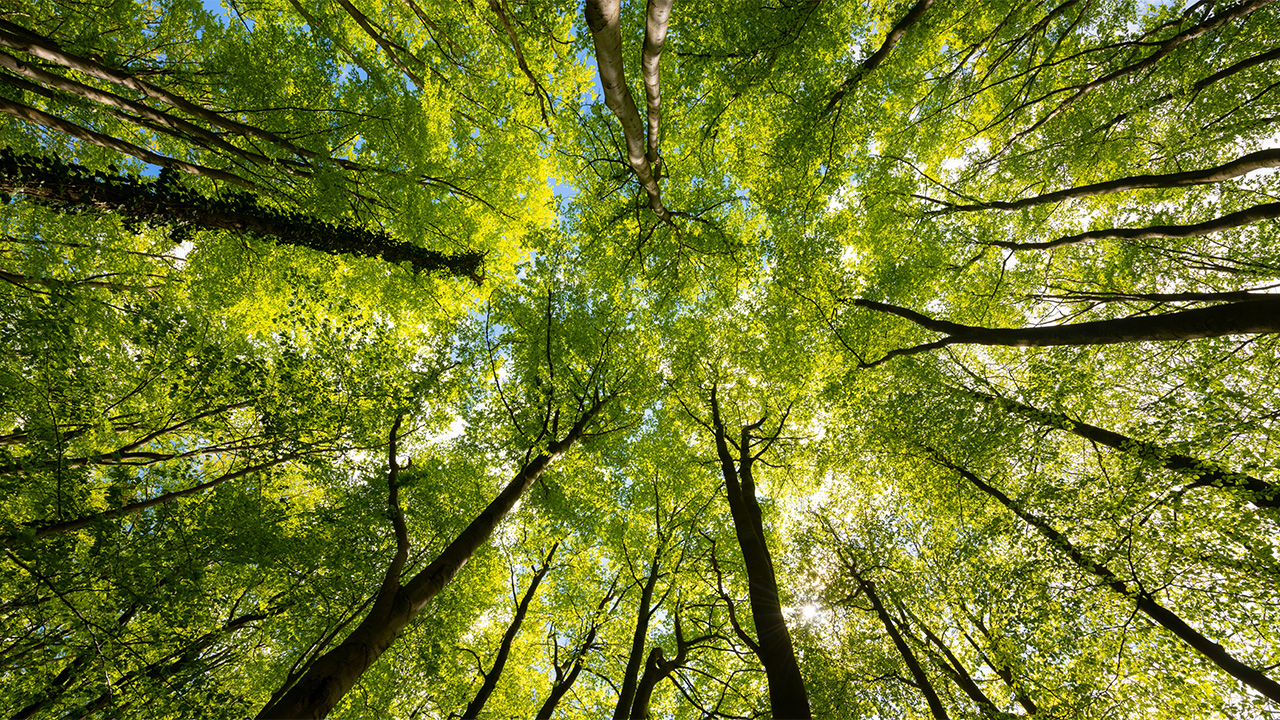 La stratégie de protection climatique de Hansgrohe en détail