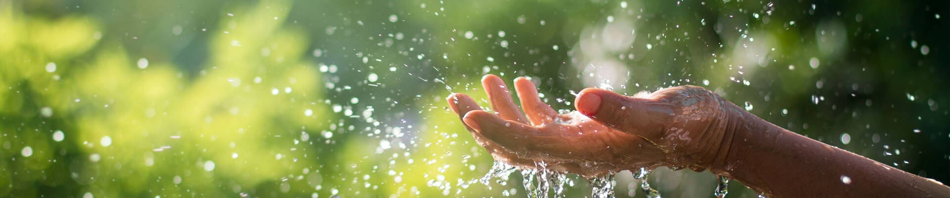 hansgrohe tema verden af bæredygtighed.