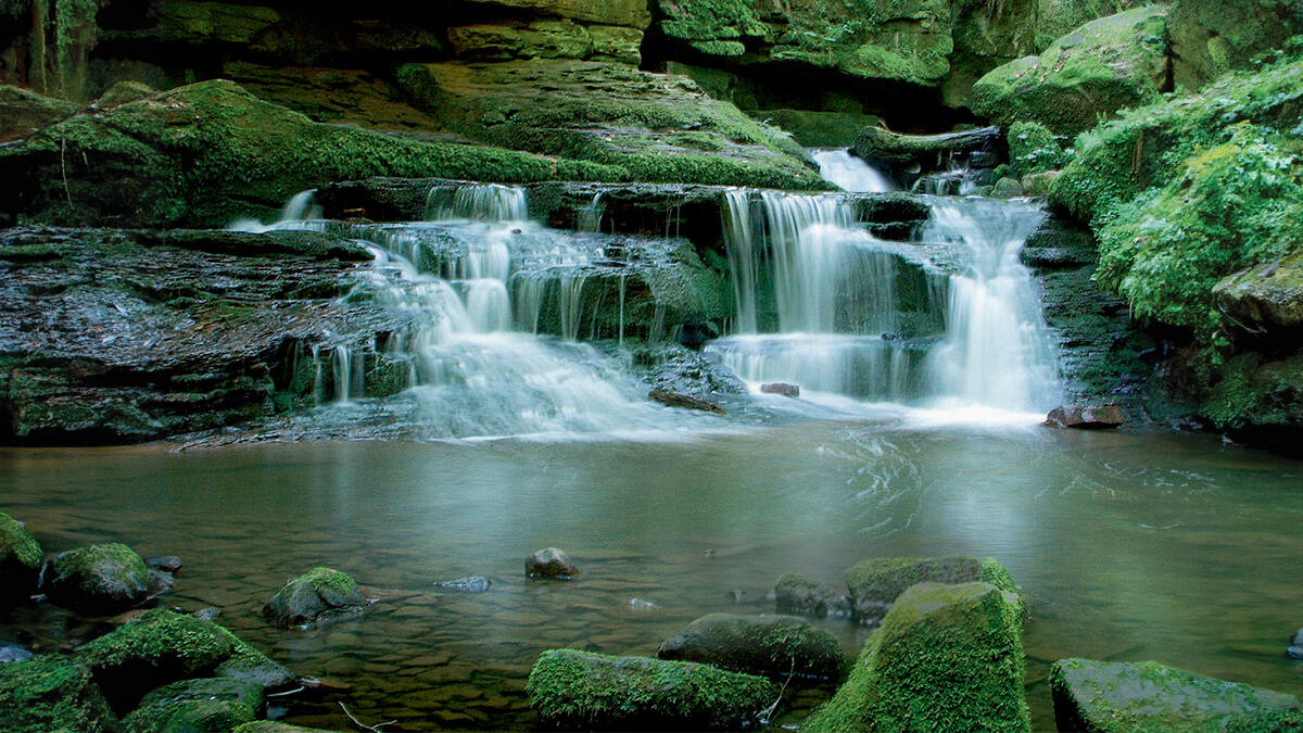 Naturligt vattenfall som rinner ut i ett vattendrag på sommaren.