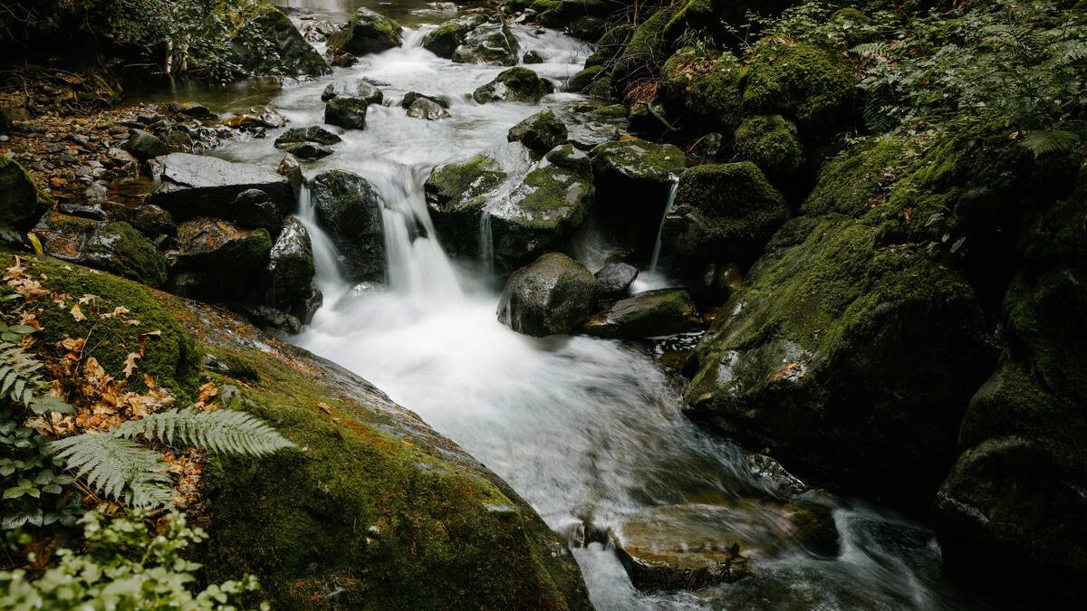 Hier lees je wat de Hansgrohe Group onder duurzaamheid verstaat en hoe het wordt omgezet.