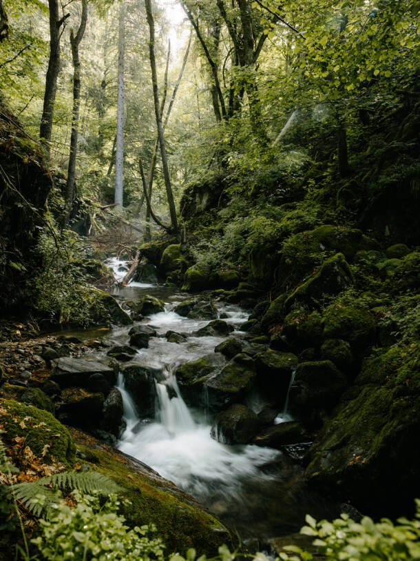 Hansgrohe Group becomes part of the circular economy.