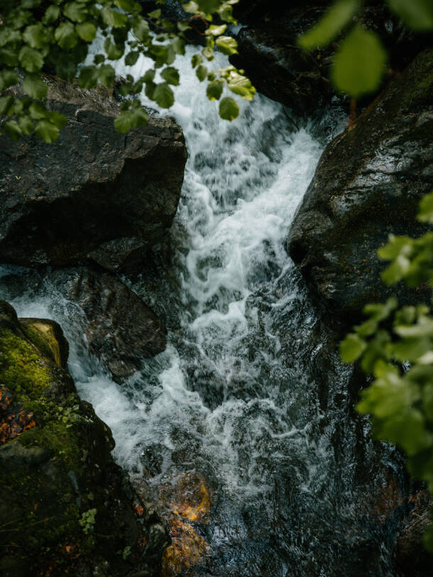 Hansgrohe Group conserves water cycles.