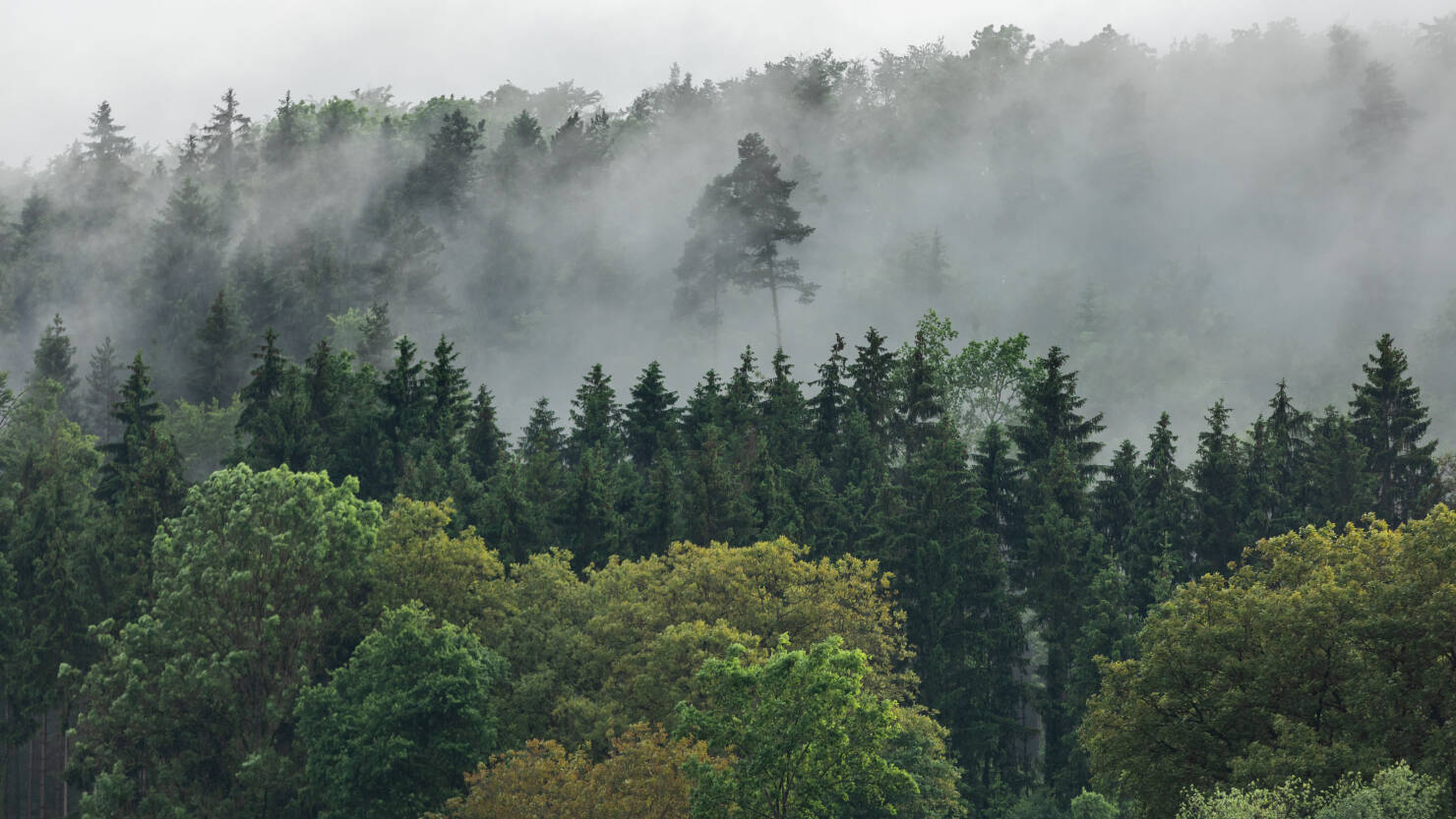 Hansgrohe CSR: social responsibility for the Black Forest. Hansgrohe CSR: social responsibility for the Black Forest.