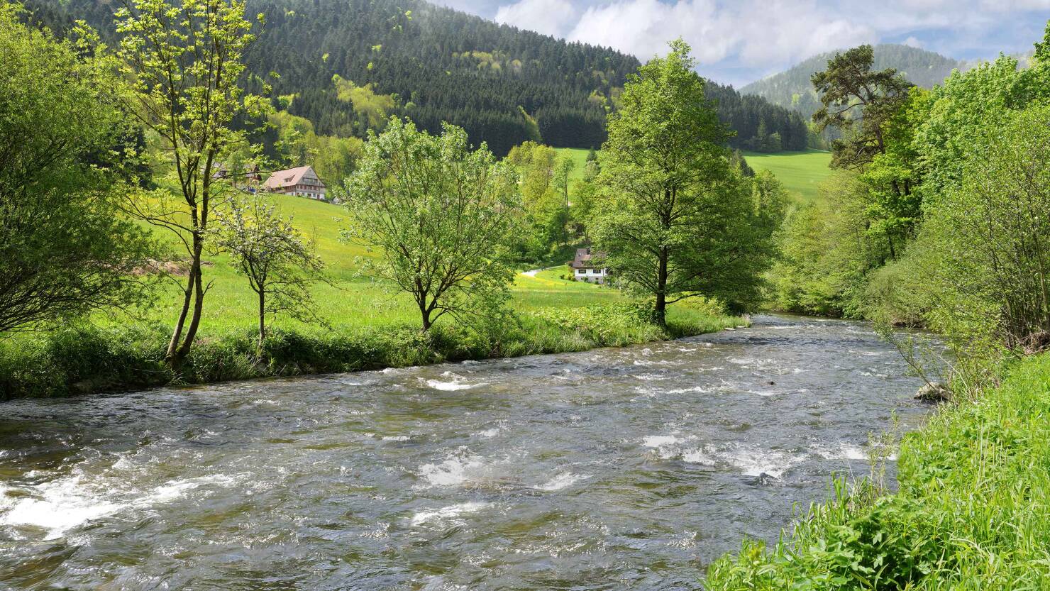 Innovativer Arbeitgeber im Schwarzwald, Baden-Württemberg. Innovativer Arbeitgeber im Schwarzwald, Baden-Württemberg.