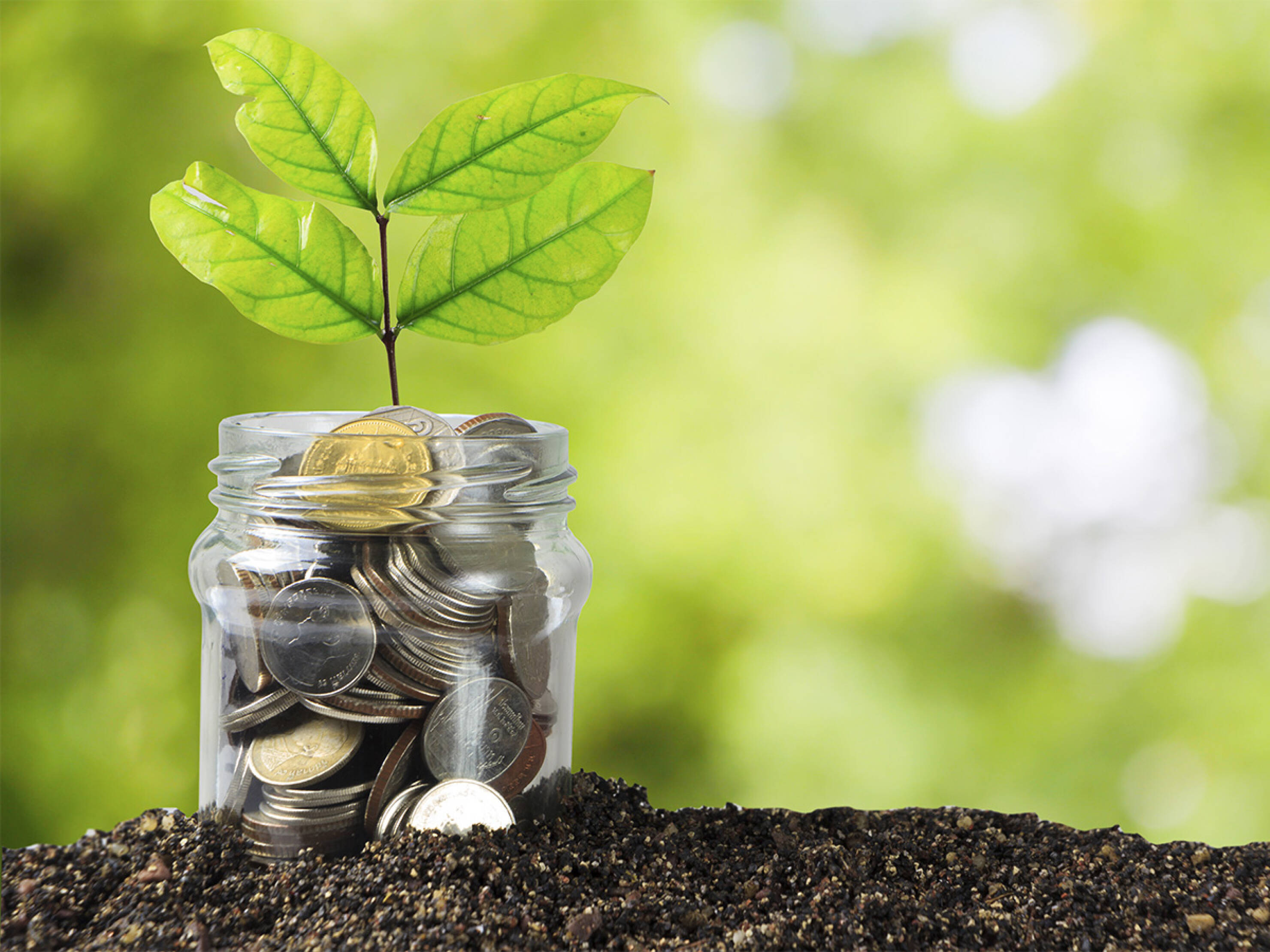Reducir la huella ecológica de cada consumidor: esa es la misión de EcoSmart de hansgrohe. Reducir la huella ecológica de cada consumidor: esa es la misión de EcoSmart de hansgrohe.