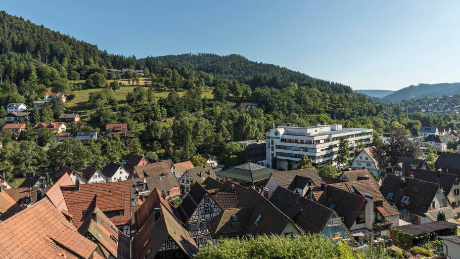 Production Sites Around the World Hansgrohe Group