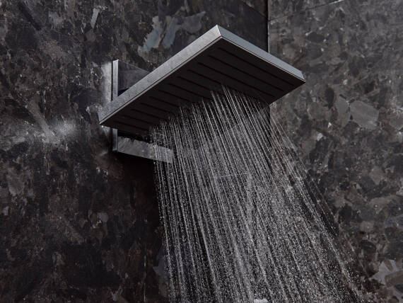 hansgrohe Pulsify E Kopfbrause in chrom.