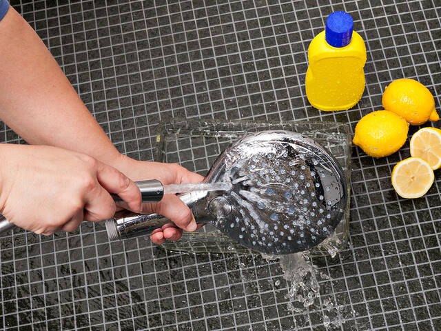 Gluren Aanpassing Avondeten Cleaning your shower head correctly | hansgrohe INT