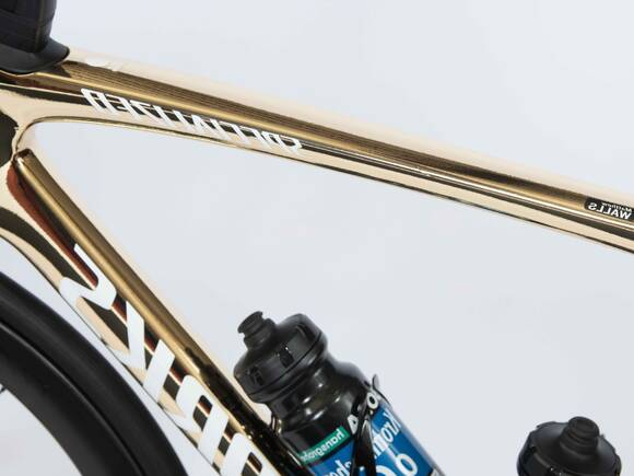 Bild das Specialized S-Works Tarmac SL7