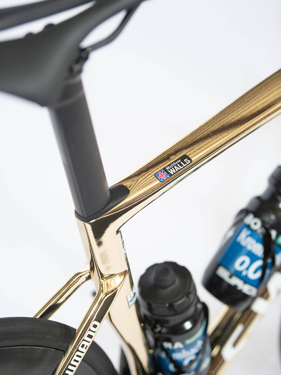 Das Golden Bike im Detail