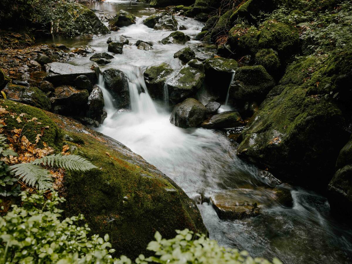 Vandfald i Schwarzwald.