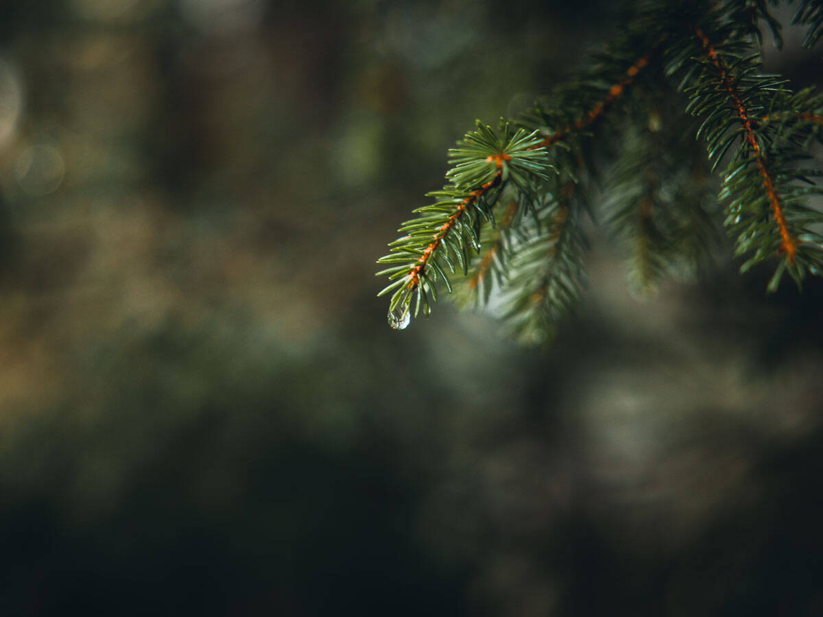 hansgrohe veesäästukalkulaator