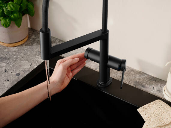 Talis Select M54 in Mattschwarz an der Sple.