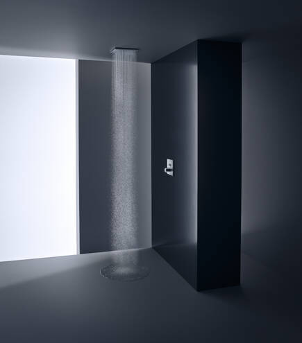 Close-Up: Kopfbrause 250/250 2jet Deckenintegriert 2