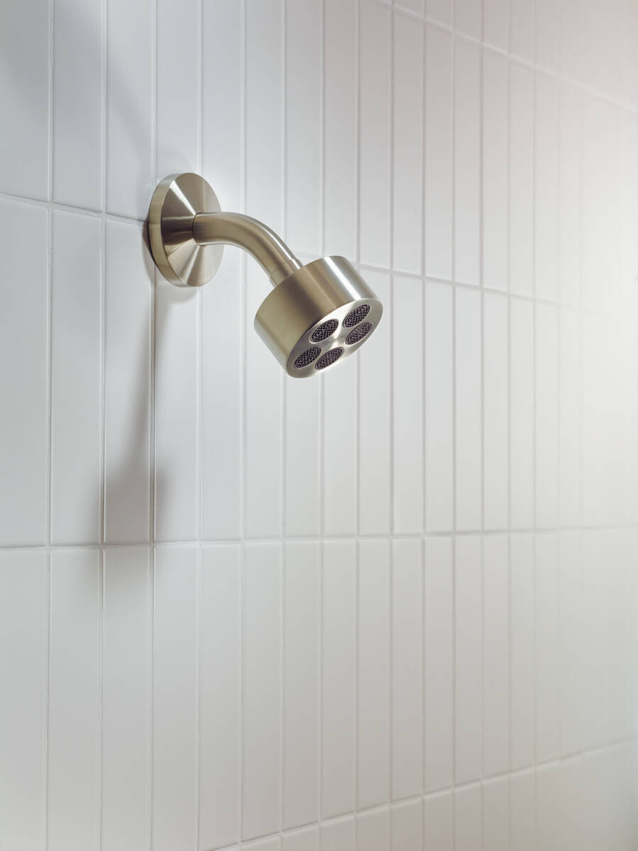 Close-Up: Overhead shower 75 1jet EcoSmart with shower arm 1