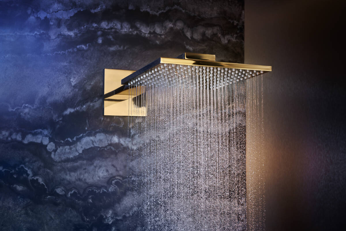 Close-Up: Overhead shower 250/250 2jet with shower arm 4