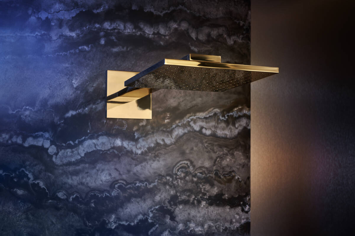Close-Up: Overhead shower 250/250 2jet with shower arm 2