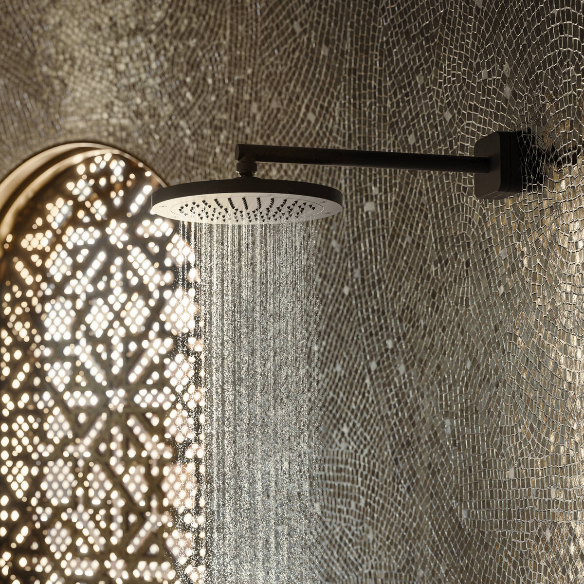 Close-Up: Shower arm 390 mm softsquare 1