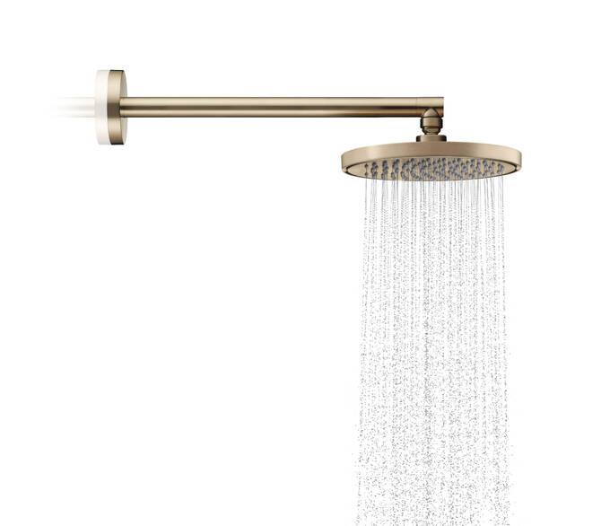 AXOR ShowerSolutions Bras de douche 390 mm