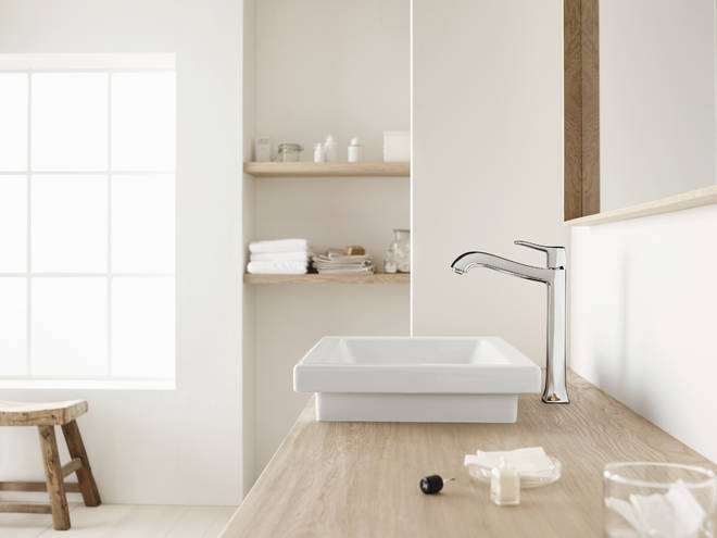 Close-up: Single lever basin mixer 250 for wash bowls with pop-up waste 1