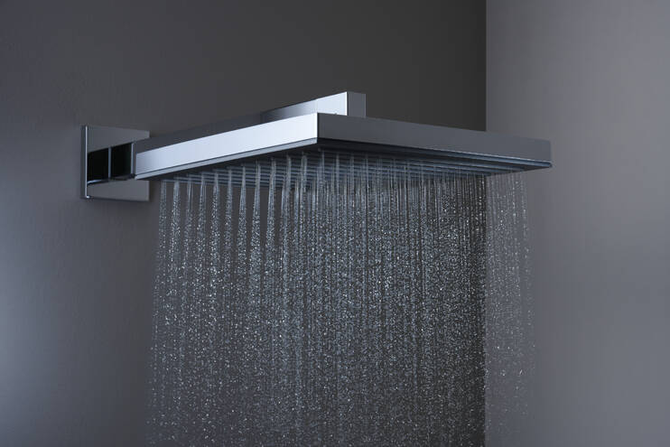 Close-up: Overhead shower 260 1jet 2