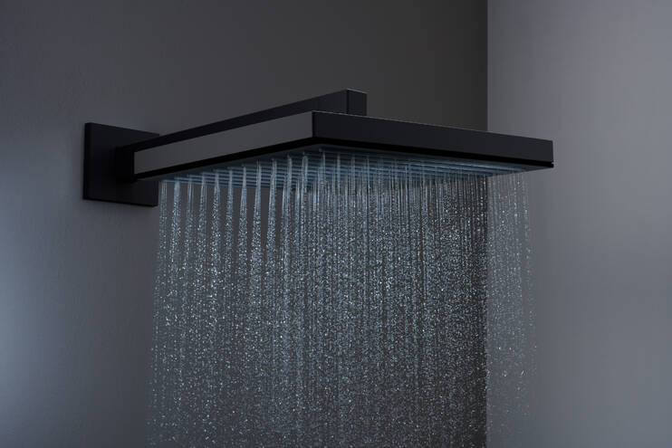 Close-up: Overhead shower 260 1jet 1