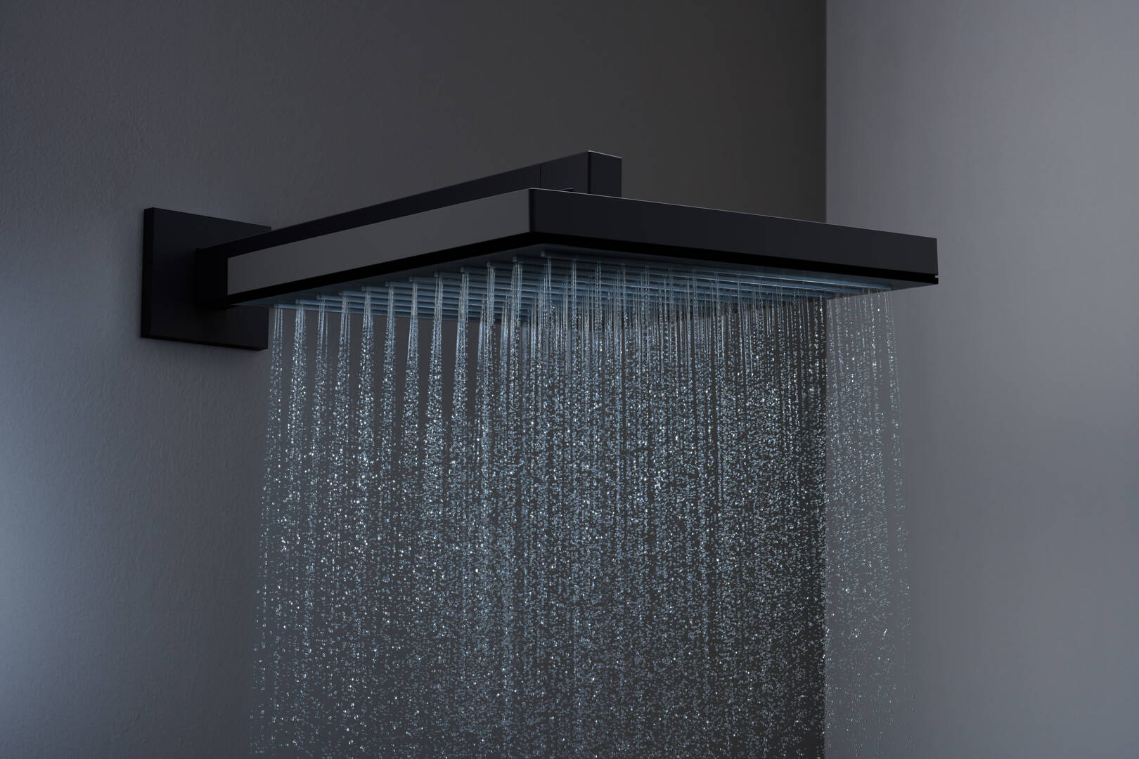Close-up: Overhead shower 260 1jet 1