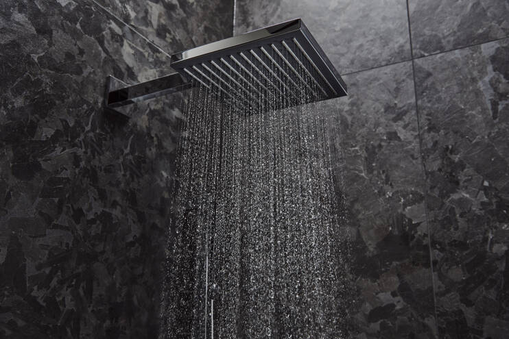 Close-up: Overhead shower 260 1jet 9