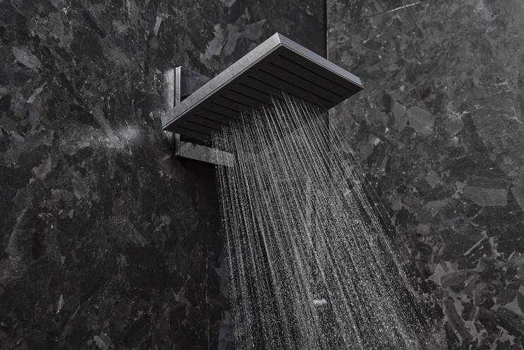 Close-up: Hoofddouche 260 2jet met douchearm 1