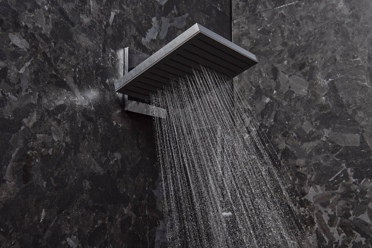 hansgrohe Overhead showers: Pulsify E, 2 spray modes, Item No. 24350000