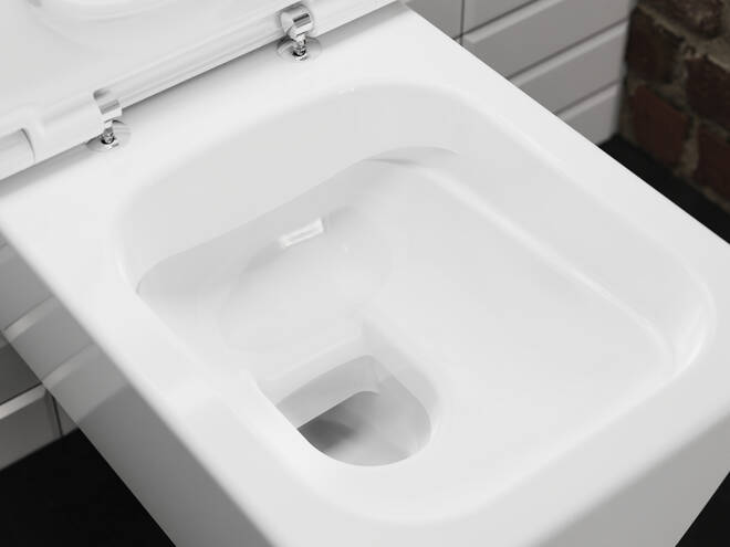 Close-Up: Wand WC AquaFall Flush  SmartClean