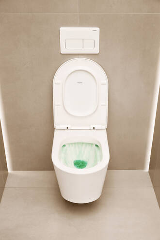 放大: WC seat and cover elongated with SoftClose and QuickRelease 4