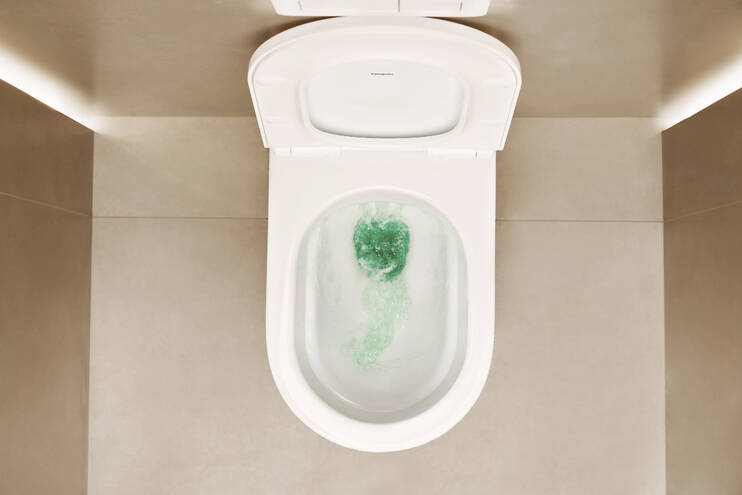 放大: WC seat and cover elongated with SoftClose and QuickRelease 5