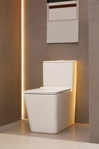 放大: Floorstanding WC one piece with vertical outlet 305 rimless 5