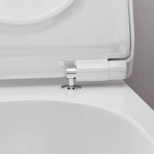 hansgrohe Toilet combinations: EluPura S, Wall hung WC Set 540 ...